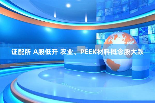 证配所 A股低开 农业、PEEK材料概念股大跌