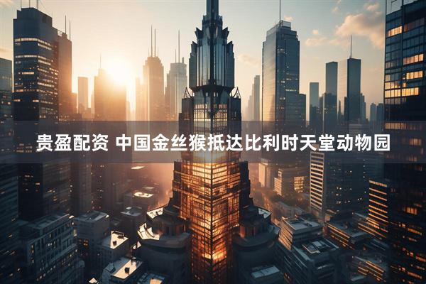 贵盈配资 中国金丝猴抵达比利时天堂动物园