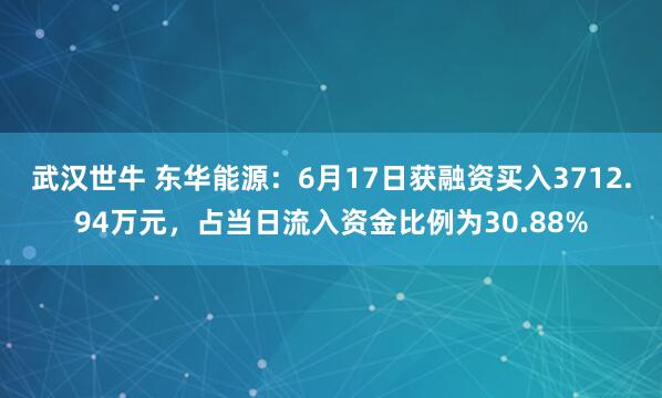 武汉世牛 东华能源：6月17日获融资买入3712.94万元，占当日流入资金比例为30.88%