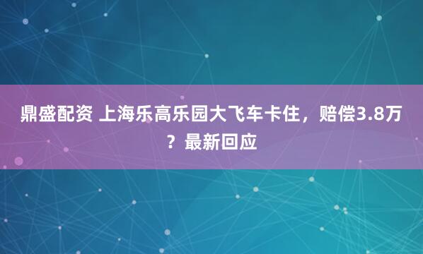 鼎盛配资 上海乐高乐园大飞车卡住，赔偿3.8万？最新回应