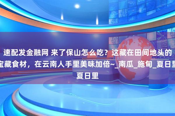 速配发金融网 来了保山怎么吃？这藏在田间地头的宝藏食材，在云南人手里美味加倍~_南瓜_施甸_夏日里